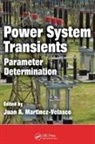 Juan A. (Universitat Politecnica Martinez-Velasco, Juan A. Martinez-Velasco, Martinez-Velasco Juan A. - Power System Transients
