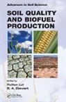Rattan (Ohio State University) Stewart Lal, Rattan Stewart Lal, Rattan Lal, Lal Rattan, B.A. Stewart - Soil Quality and Biofuel Production