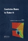 Gert (Leibniz Institute of Polymer Resea Heinrich, Gert Kaliske Heinrich, Gert Heinrich, Heinrich Gert, Michael Kaliske, Kaliske Michael... - Constitutive Models for Rubber VI