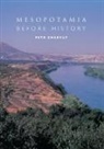 Petr Charvat, Petr Charvát - Mesopotamia Before History