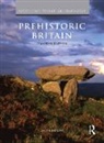 Timothy Darvill, Timothy (University of Bournemouth Darvill, Darvill Timothy - Prehistoric Britain