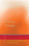 David P. Bernstein, Bernstein David P., Eshkol Rafaeli, Eshkol (Columbia University Rafaeli, Rafaeli Eshkol, Jeffrey Young... - Schema Therapy