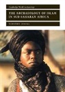 Timothy Insoll, Timothy (University of Manchester) Insoll, Susan Alcock, Norman Yoffee - Archaeology of Islam in Sub-Saharan Africa
