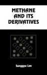 Sunggyu Lee, Lee Sunggyu - Methane and Its Derivatives