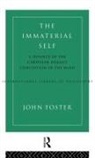 John Foster - Immaterial Self