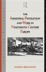 Lenard R. Berlanstein, Lenard R Berlanstein, Lenard R. Berlanstein - Industrial Revolution and Work in Nineteenth Century Europe