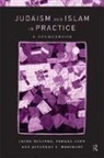 Jonathan E. Brockopp, Jonathan E. Neusner Brockopp, Jacob Neusner, Tamara Sonn, Sonn Tamara - Judaism and Islam in Practice