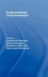 David (University of Cambridge Farrington, David P. Mackenzie Farrington, Brandon C Welsh, Brandon C. Welsh, David Farrington, David P Farrington... - Evidence-Based Crime Prevention