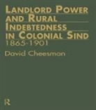 David Cheesman, Cheesman David - Landlord Power and Rural Indebtedness in Colonial Sind