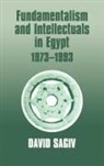David Sagiv, Sagiv David - Fundamentalism and Intellectuals in Egypt, 1973-1993