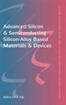 Jo Nijs, Jo Nijs - Advanced Silicon & Semiconducting Silicon Alloy Based Materials &