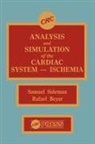 Rafael Beyar, Rafael (Johns Hopkins University) Sideman Beyar, Rafael Sideman Beyar, Beyar Rafael, Samuel Sideman, Sideman Samuel - Analysis and Simulation of the Cardiac System Ischemia