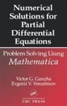 Victor Grigor'e Ganzha, Victor Grigor''e Vorozhtsov Ganzha, Evgenii Vasilev Vorozhtsov - Numerical Solutions for Partial Differential Equations