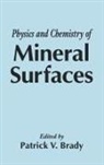 Patrick V. (Sandia National Labs Brady, Patrick V Brady, Patrick V. Brady, Brady Patrick V. - Physics and Chemistry of Mineral Surfaces