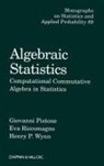 Giovanni Pistone, Giovanni (Torino University Pistone, Giovanni Riccomagno Pistone, Pistone Giovanni, Eva Riccomagno, Riccomagno Eva... - Algebraic Statistics