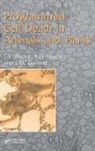 John Garland Bryant, John Bryant, Jeff Garland, Garland Jeff, S.G. Hughes - Programmed Cell Death in Animals and Plants