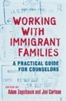 Adam (Sonoma State University Zagelbaum, Adam Carlson Zagelbaum, Jon Carlson, Adam Zagelbaum - Working With Immigrant Families