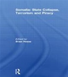Brian Hesse, Brian Hesse - Somalia: State Collapse, Terrorism and Piracy