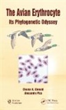 Chester A. Glomski, Chester A. Pica Glomski, Glomski Chester A., Alessandra Pica, Pica Alessandra - Avian Erythrocyte