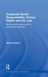 Olufemi Amao, Amao Olufemi - Corporate Social Responsibility, Human Rights and the Law