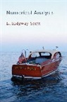 Larkin Ridgway Scott - Numerical Analysis