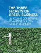 Gareth Kane, Kane Gareth - Three Secrets of Green Business