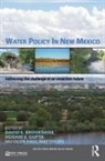 David Brookshire, David (University of New Mexico Brookshire, David Gupta Brookshire, Hoshin Gupta, Olen Paul Matthews, Matthews Olen Paul - Water Policy in New Mexico