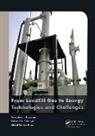 M. Emran Khan, Mohd Emran Khan, Emran Khan Mohd, Vasudevan Rajaram, Vasudevan Siddiqui Rajaram, Rajaram Vasudevan... - From Landfill Gas to Energy