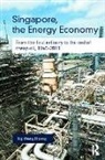 Weng Hoong Ng, Weng Hoong (Singapore Managment University Ng, Ng Weng Hoong - Singapore, the Energy Economy
