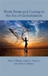 Rabi S. Bhagat, Rabi S. (University of Memphis Bhagat, Rabi S. Segovis Bhagat, Terry Nelson, Nelson Terry, James Segovis... - Work Stress and Coping in the Era of Globalization