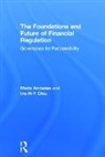 Mads Andenas, Mads (University of London Andenas, Andenas Mads, Iris H-Y Chiu - Foundations and Future of Financial Regulation