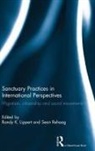 Randy Rehaag Lippert, Randy Lippert, Lippert Randy, Sean Rehaag, Rehaag Sean - Sanctuary Practices in International Perspectives