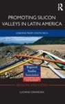 Luciano Ciravegna, Ciravegna Luciano - Promoting Silicon Valleys in Latin America
