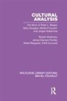 Albert J Bergesen, Albert J. Bergesen, James Davison Hunter, Edith Kurzweil, Robert Wuthnow, Robert Hunter Wuthnow - Cultural Analysis