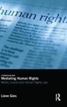 Lieve Gies, Gies Lieve - Mediating Human Rights