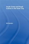 Bill Sanders - Youth Crime and Youth Culture in the Inner City