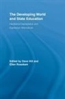 Dave Rosskam Hill, Dave Hill, Ellen Rosskam - Developing World and State Education