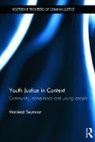 Mairead Seymour, Mairéad Seymour - Youth Justice in Context