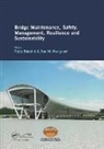 Fabio (Politecnico DI Milano Biondini, Fabio Frangopol Biondini, Fabio Biondini, Biondini Fabio, Dan M. Frangopol, Frangopol Dan M. - Bridge Maintenance, Safety, Management, Resilience and Sustainability