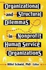 Hillel Schmid - Organizational and Structural Dilemmas in Nonprofit Human Service
