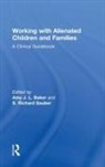 Amy J. L. (Vincent J. Fontana Center for Ch Baker, Amy J. L. Baker, Baker Amy J. L., S. Richard Sauber, Sauber S. Richard - Working With Alienated Children and Families