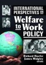Richard (University of Texas At Arlington Hoefer, Richard Midgley Hoefer, Richard Hoefer, Hoefer Richard, James Midgley, Midgley James - International Perspectives on Welfare to Work Policy