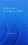 Manolo Guzman, Manolo Guzmán - Gay Hegemony/ Latino Homosexualites
