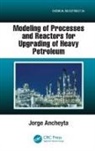 Jorge Ancheyta, Ancheyta Jorge - Modeling of Processes and Reactors for Upgrading of Heavy Petroleum