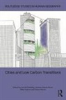 Harriet (University of Durham Bulkeley, Harriet Bulkeley, Vanesa Castán Broto, Mike Hodson, Simon Marvin - Cities and Low Carbon Transitions