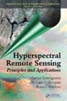 Marcus Borengasser, Marcus (Florida Institute of Technolo Borengasser, Marcus Hungate Borengasser, Borengasser Marcus, William S. Hungate, Hungate William S.... - Hyperspectral Remote Sensing