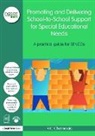Rita Cheminais, Cheminais Rita - Promoting Delivering School To School Support for Special