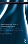 Benjamin Stachursky, Benjamin (German Agency for Internatio Stachursky, Stachursky Benjamin - Promise and Perils of Transnationalization