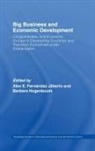 Alex E. Hogenboom Fernandez Jilberto, Barbara (Centre for Latin American Rese Hogenboom, Barbara Fernandez Jilberto Hogenboom, Alex E. Fernández Jilberto, Barbara Hogenboom, Hogenboom Barbara - Big Business and Economic Development