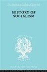 Harry W. Laidler - History of Socialism